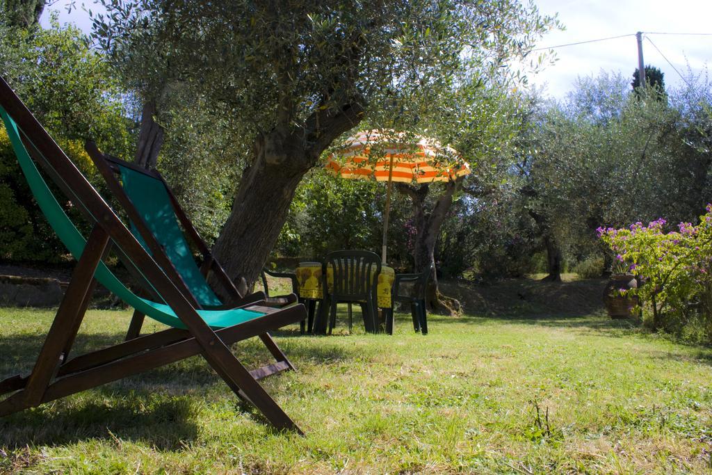 Fattoria Di Camporomano Massarosa Room photo